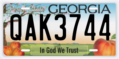 GA license plate QAK3744