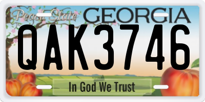 GA license plate QAK3746