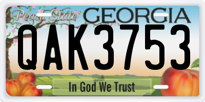 GA license plate QAK3753