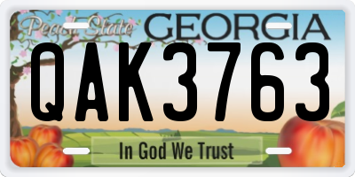 GA license plate QAK3763