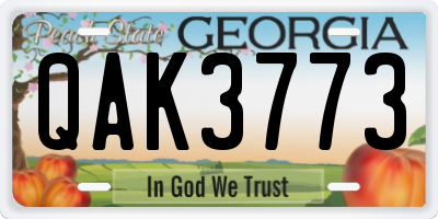 GA license plate QAK3773