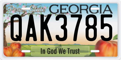 GA license plate QAK3785