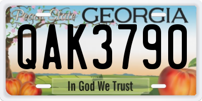 GA license plate QAK3790