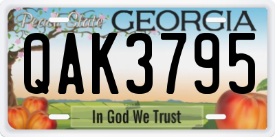 GA license plate QAK3795