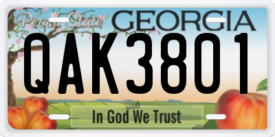 GA license plate QAK3801