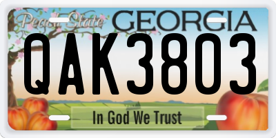 GA license plate QAK3803