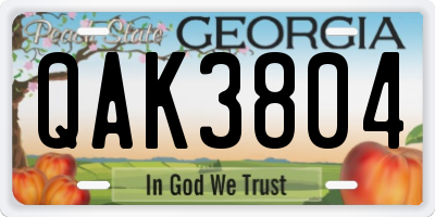 GA license plate QAK3804