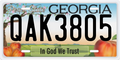 GA license plate QAK3805
