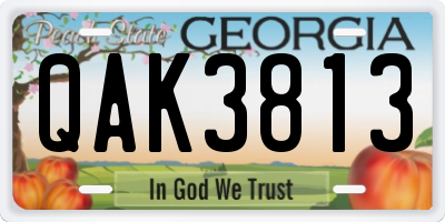 GA license plate QAK3813