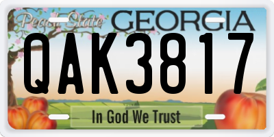 GA license plate QAK3817