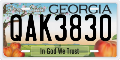 GA license plate QAK3830