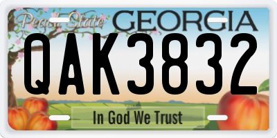 GA license plate QAK3832