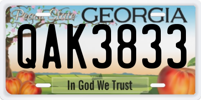 GA license plate QAK3833