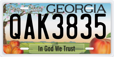 GA license plate QAK3835