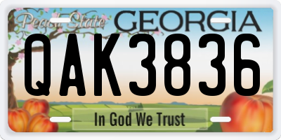 GA license plate QAK3836
