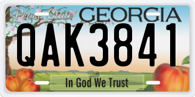 GA license plate QAK3841