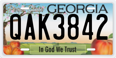 GA license plate QAK3842