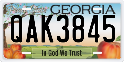 GA license plate QAK3845