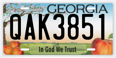 GA license plate QAK3851
