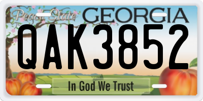 GA license plate QAK3852