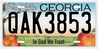 GA license plate QAK3853