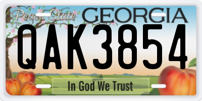 GA license plate QAK3854