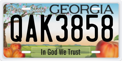 GA license plate QAK3858