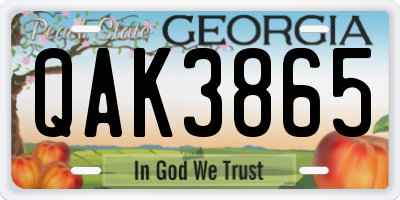 GA license plate QAK3865