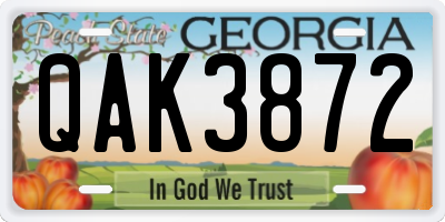 GA license plate QAK3872