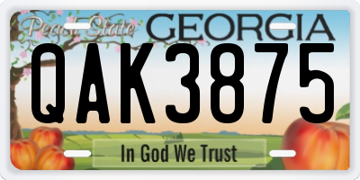 GA license plate QAK3875