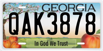 GA license plate QAK3878