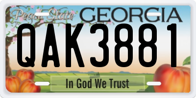 GA license plate QAK3881