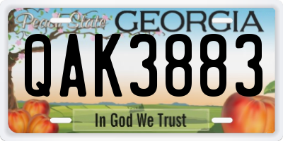 GA license plate QAK3883
