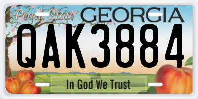 GA license plate QAK3884