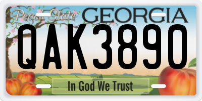 GA license plate QAK3890