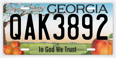 GA license plate QAK3892