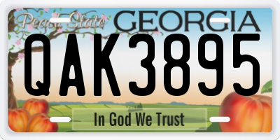 GA license plate QAK3895