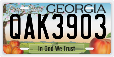 GA license plate QAK3903