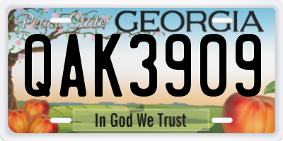 GA license plate QAK3909