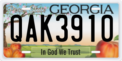 GA license plate QAK3910