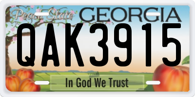 GA license plate QAK3915