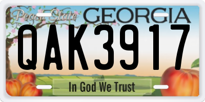 GA license plate QAK3917