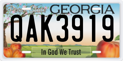 GA license plate QAK3919