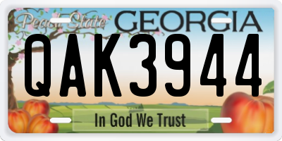 GA license plate QAK3944