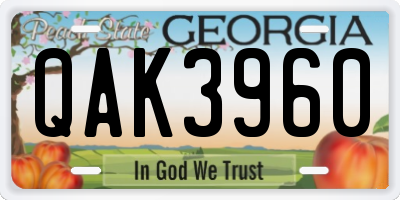 GA license plate QAK3960