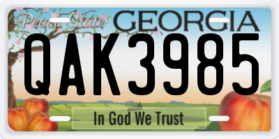 GA license plate QAK3985