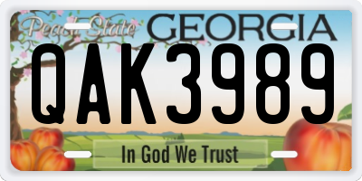 GA license plate QAK3989