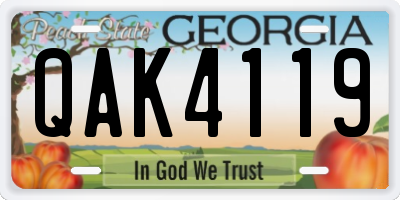 GA license plate QAK4119