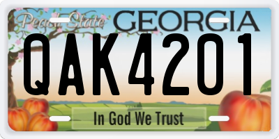 GA license plate QAK4201