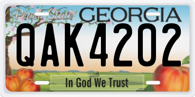 GA license plate QAK4202